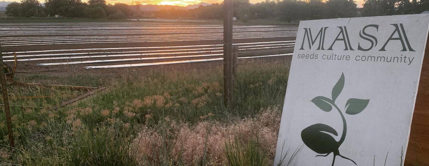 Field Trip with MASA Farm & Seed Foundation